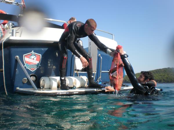 Marine conversation volunteering in Croatia