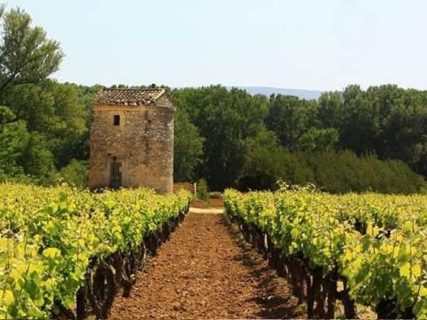 Cycling holiday in Provence, self guided