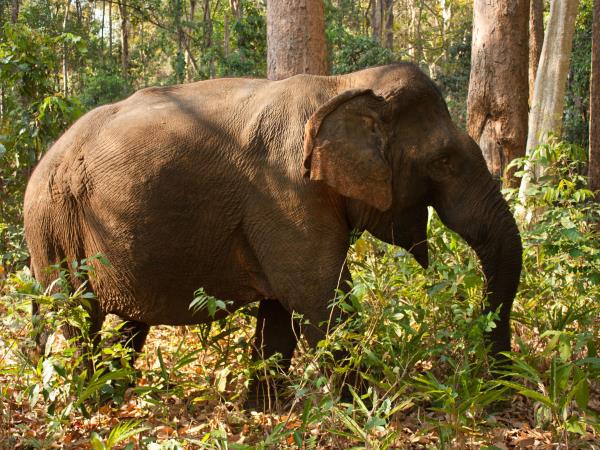 Cambodia cultural holiday with purpose