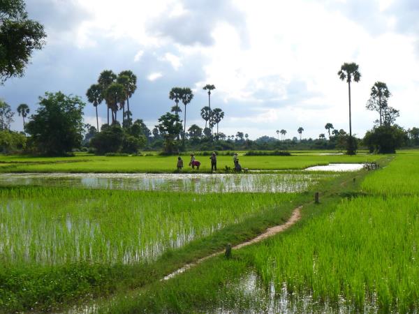 Cambodia cultural holiday with purpose
