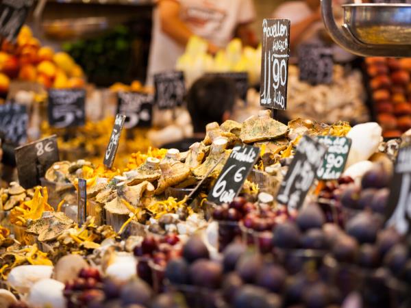 Discover Madrid, Basque Country, Rioja, Barcelona holiday