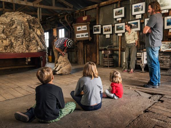 Patagonia highlights holiday, the pioneers expedition