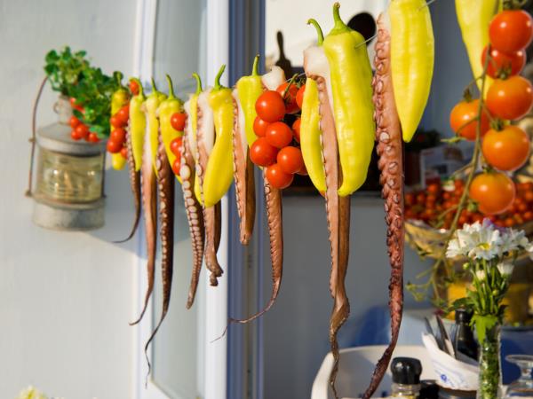 Highlights of the Greek Islands holiday