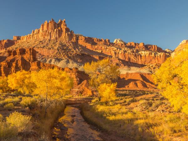Annular solar eclipse holiday with National Parks of America