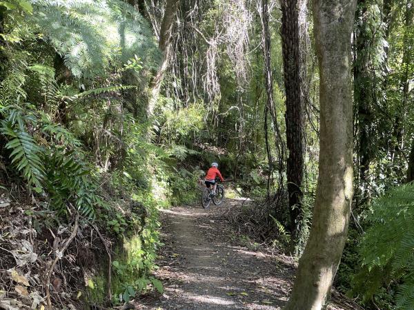 Marlborough cycling holiday in New Zealand