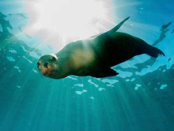 Galapagos Islands luxury cruise
