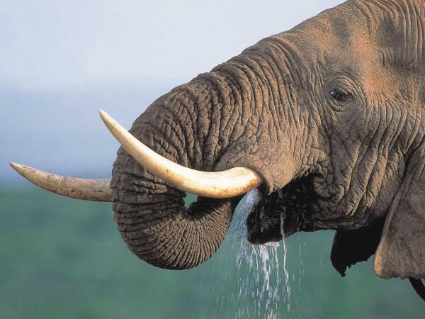 South Africa Garden Route luxury holiday