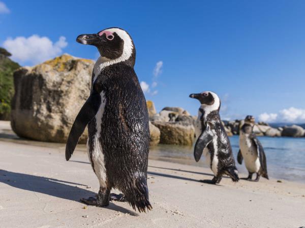 South Africa Garden Route luxury holiday
