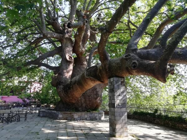 Pelion walking holiday in Greece