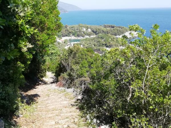 Pelion walking holiday in Greece