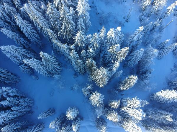 Alternative family winter holiday in Sameons, France
