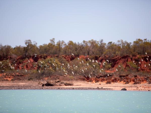 Kimberley cruise with Matakus Island