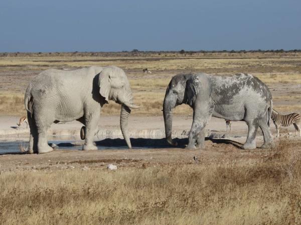Africa overland tour, Nairobi to Johannesburg