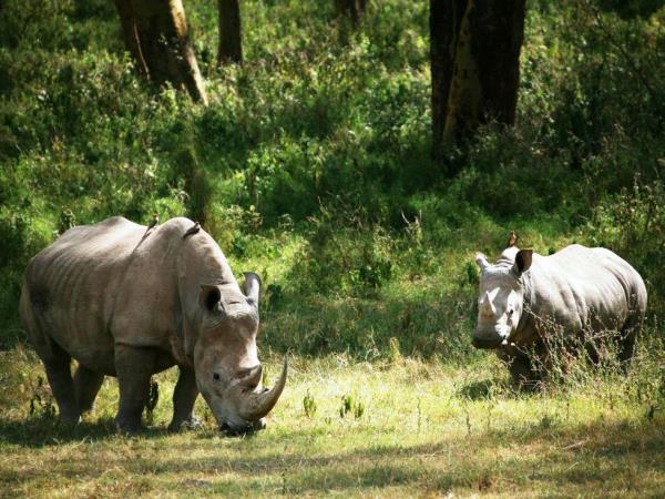 Nairobi to Cairo overland tour
