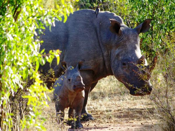 Nairobi to Cape Town overland tour