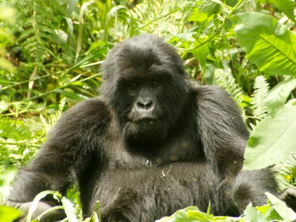 Nairobi To Dar Es Salaam overland tour