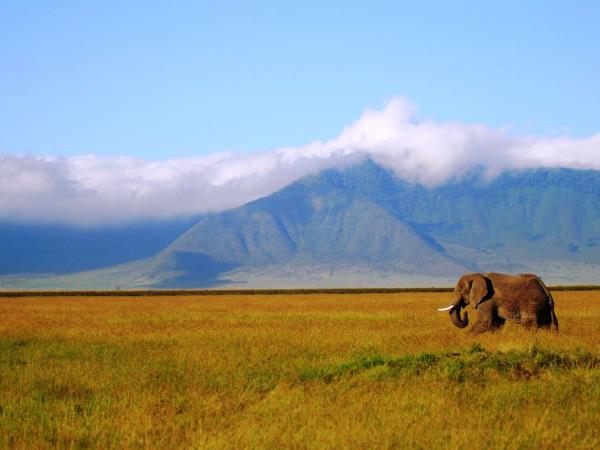 Nairobi To Dar Es Salaam overland tour