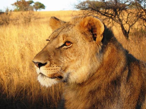 Cape Town to Nairobi overland tour