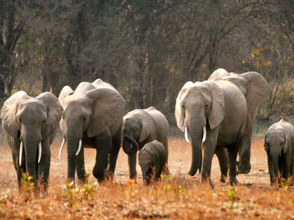 Cape Town to Nairobi overland tour