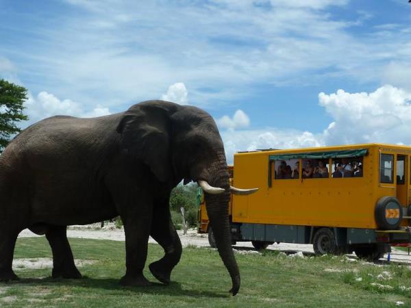 Cape Town to Nairobi overland tour
