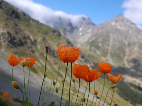 Kaçkar Mountains walking holiday in Turkey