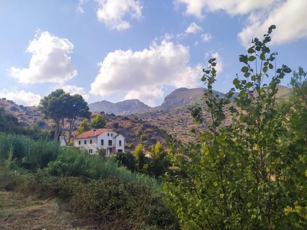 Vegan yoga retreat in Spain