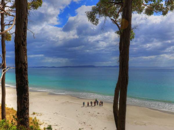 Tasmania luxury small ship cruise