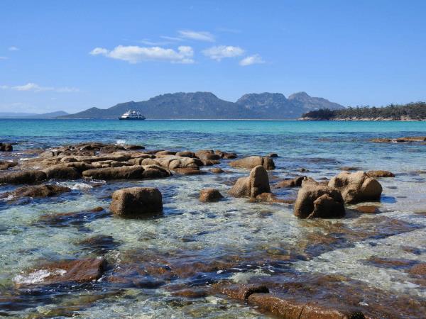 Tasmania luxury small ship cruise