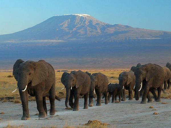 Kenya and Tanzania bespoke holiday