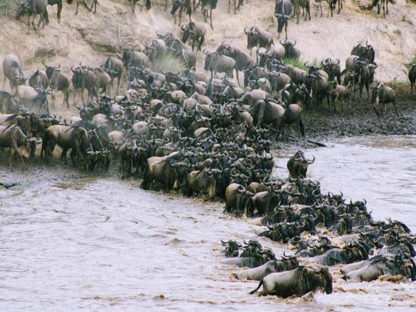 Kenya and Tanzania bespoke holiday