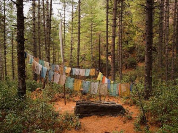 Trans Bhutan Trail, hiking and culture tour