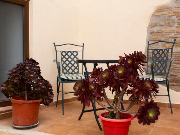 Yoga teacher training courses in Spain