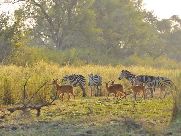 Malawi, Zambia and Zimbabwe expedition