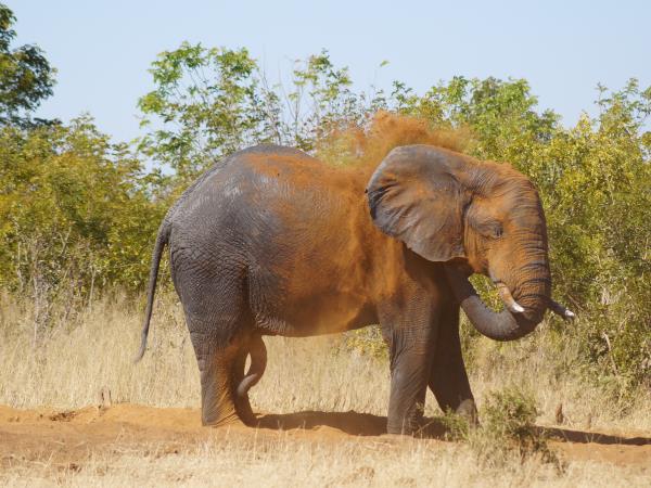 Malawi, Zambia and Zimbabwe expedition safari