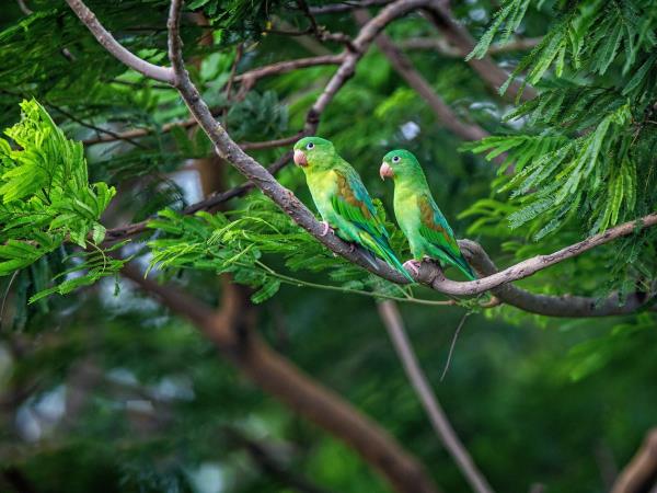 Costa Rica and Nicaragua holiday, tailor made