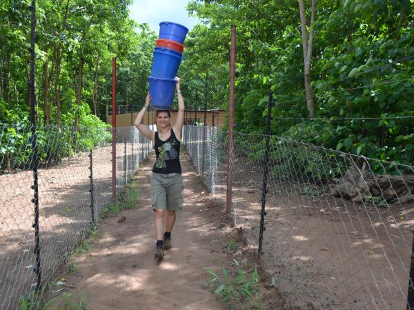 Malawi wildlife sanctuary volunteering holiday