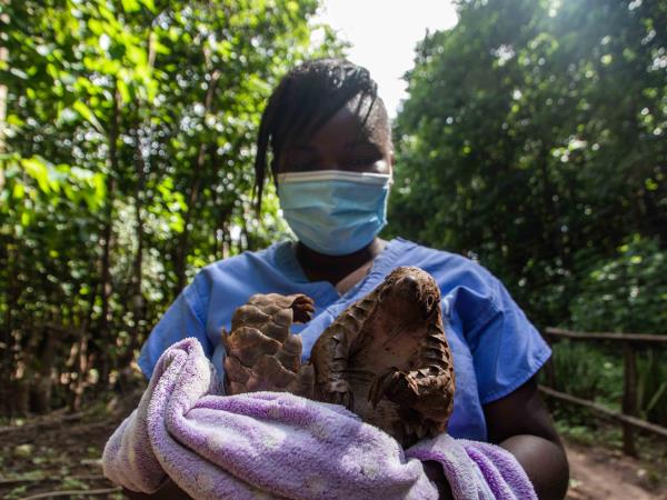 Malawi wildlife sanctuary volunteering holiday