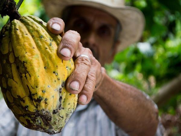 Costa Rica and Panama holiday, tailor made