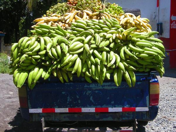 Costa Rica and Panama holiday, tailor made