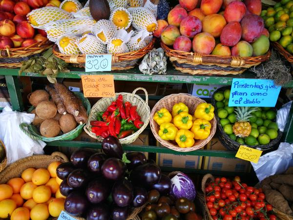 Learn Spanish, walk & culture holiday in Gran Canaria