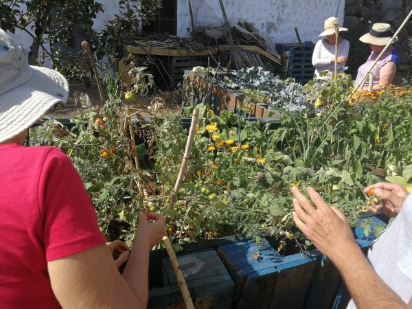 Learn Spanish, walk & culture holiday in Gran Canaria