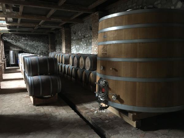 Georgia culture & wine tasting holiday