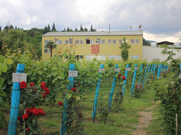 Georgia culture & wine tasting holiday