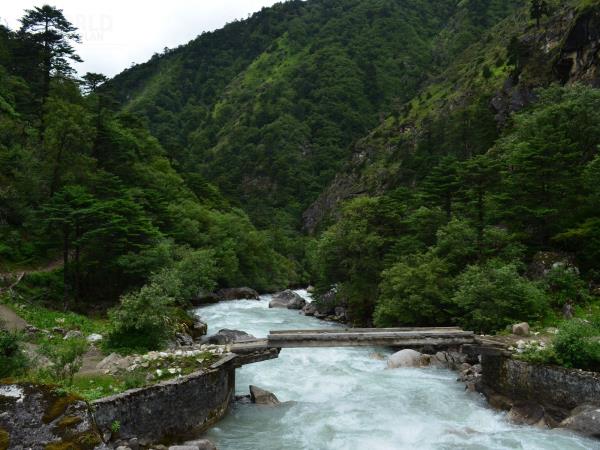 Laya Gasa trekking holiday in Bhutan