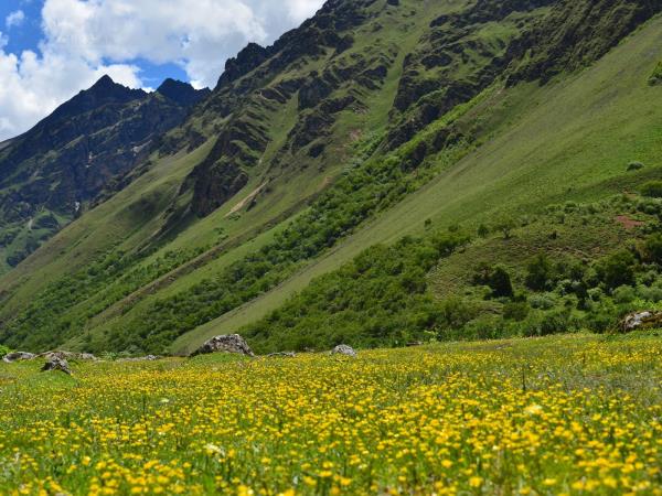 Laya Gasa trekking holiday in Bhutan