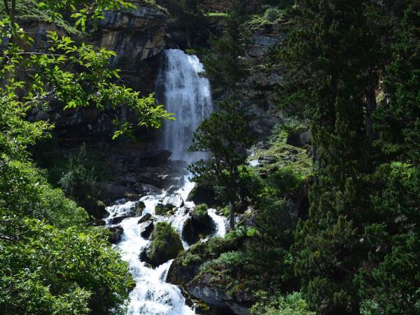 Laya Gasa trekking holiday in Bhutan