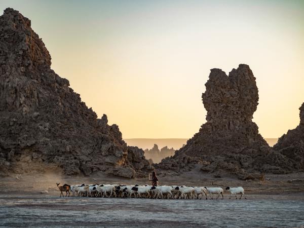 Djibouti & Somaliland, the horn of Africa