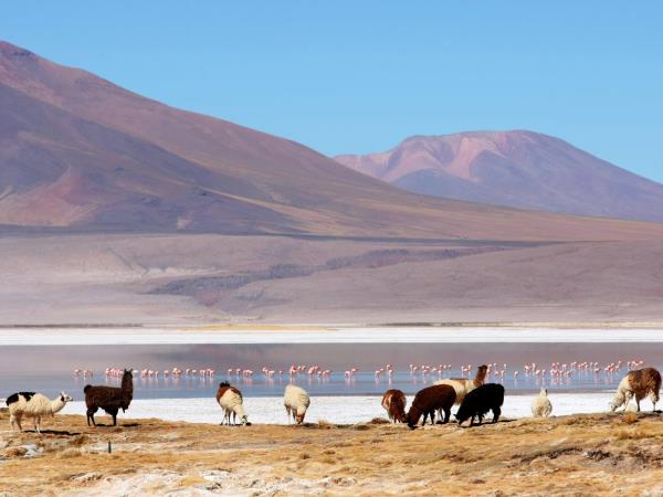 Chile active adventure holiday