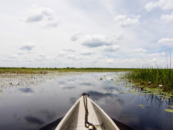 Botswana family safari holiday