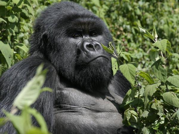 East Africa overland tour